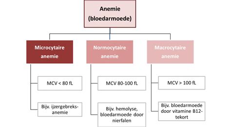 mcv waarde